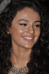 Run Raja Run Audio Launch